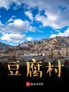 豆腐村出现的问题