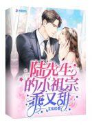 陆先生的小祖宗又乖又甜
