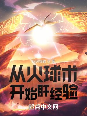 从火球术开始肝经验百科