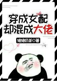 穿成女配却混成大佬TXT