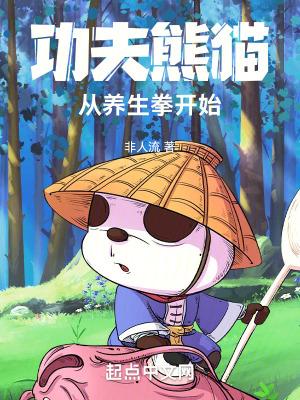 功夫熊猫武术视频