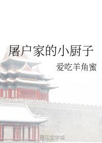 屠户家的小厨子TXT