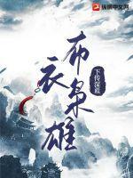 布衣枭雄全本TXT