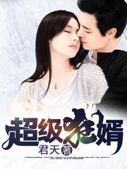 超级狂婿在线观看