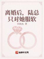 离婚后，陆总只对她服软