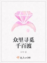 众里寻觅千百渡