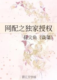 网配之独家授权