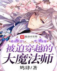 被迫穿越的大魔法师