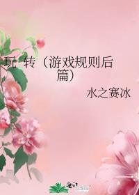 玩  转（游戏规则后篇）