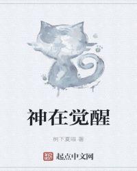 神在觉醒
