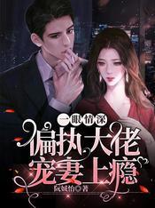 一眼情深：偏执大佬宠妻上瘾