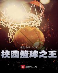 校园篮球之王