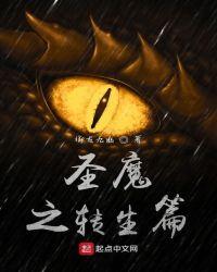 圣魔之转生篇